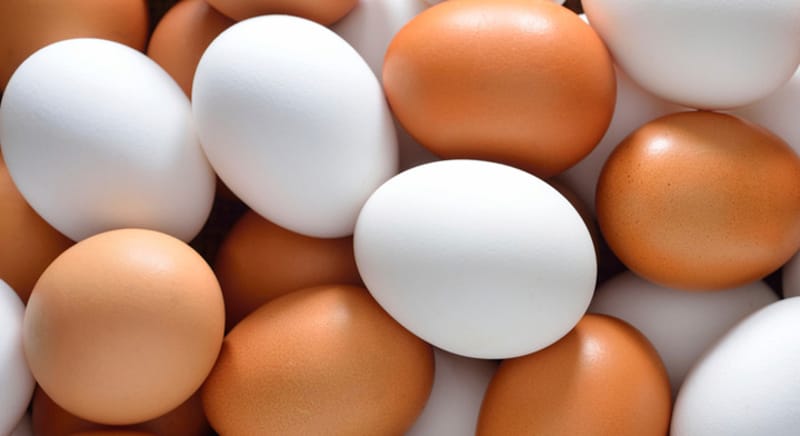 Por: Cortesía ¿Cuál es más nutritivo? ¿Qué diferencia hay entre el huevo rojo y el blanco y cuál es mejor?