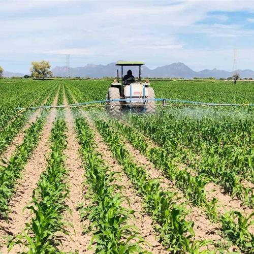 Por: Cortesía Buscará SIA que presupuesto para el campo en 2023 sea de 400 mdp