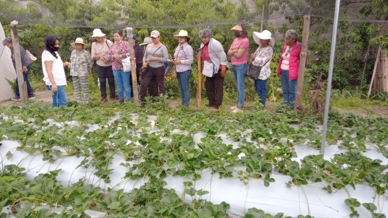 Por: Cortesía   Invaluable, el trabajo de las mujeres rurales en Tlaxcala: SIA