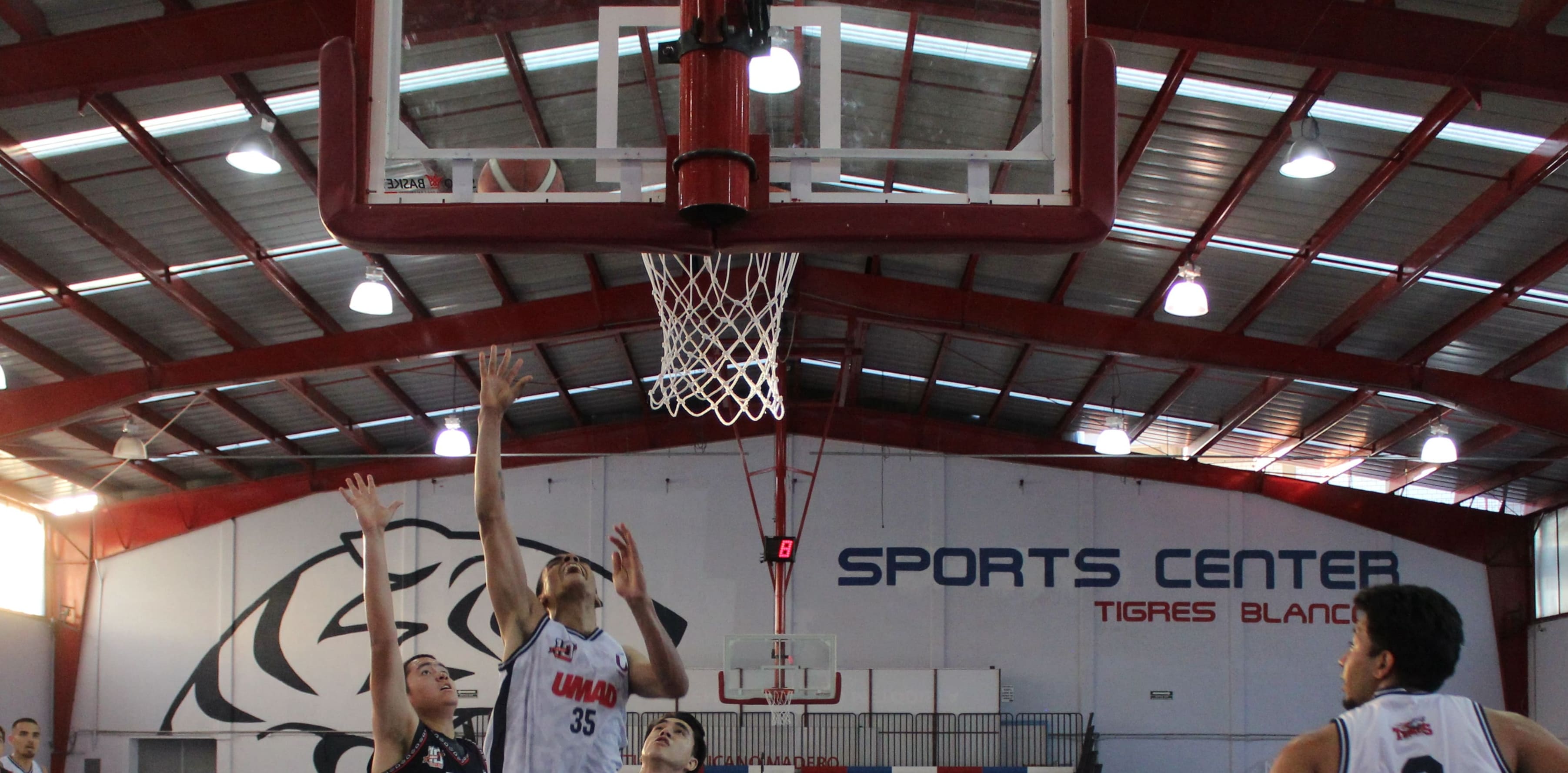 Por: Cortesía Tigres Blancos de la UMAD se confirmaron como una de los mejores de la Liga ABE