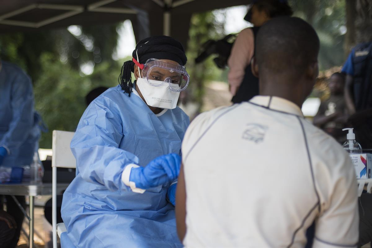 Por: Cortesía Alertan por virus de mono similar al que ébola estaría 'listo' para saltar a los humanos