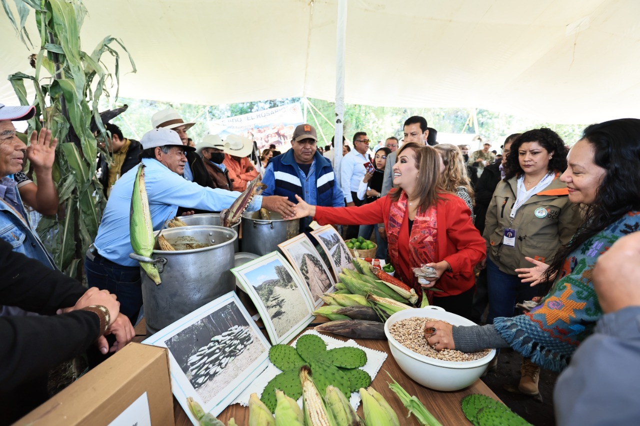 Conmemoran autoridades federales y estatales el Día Nacional Del Maíz