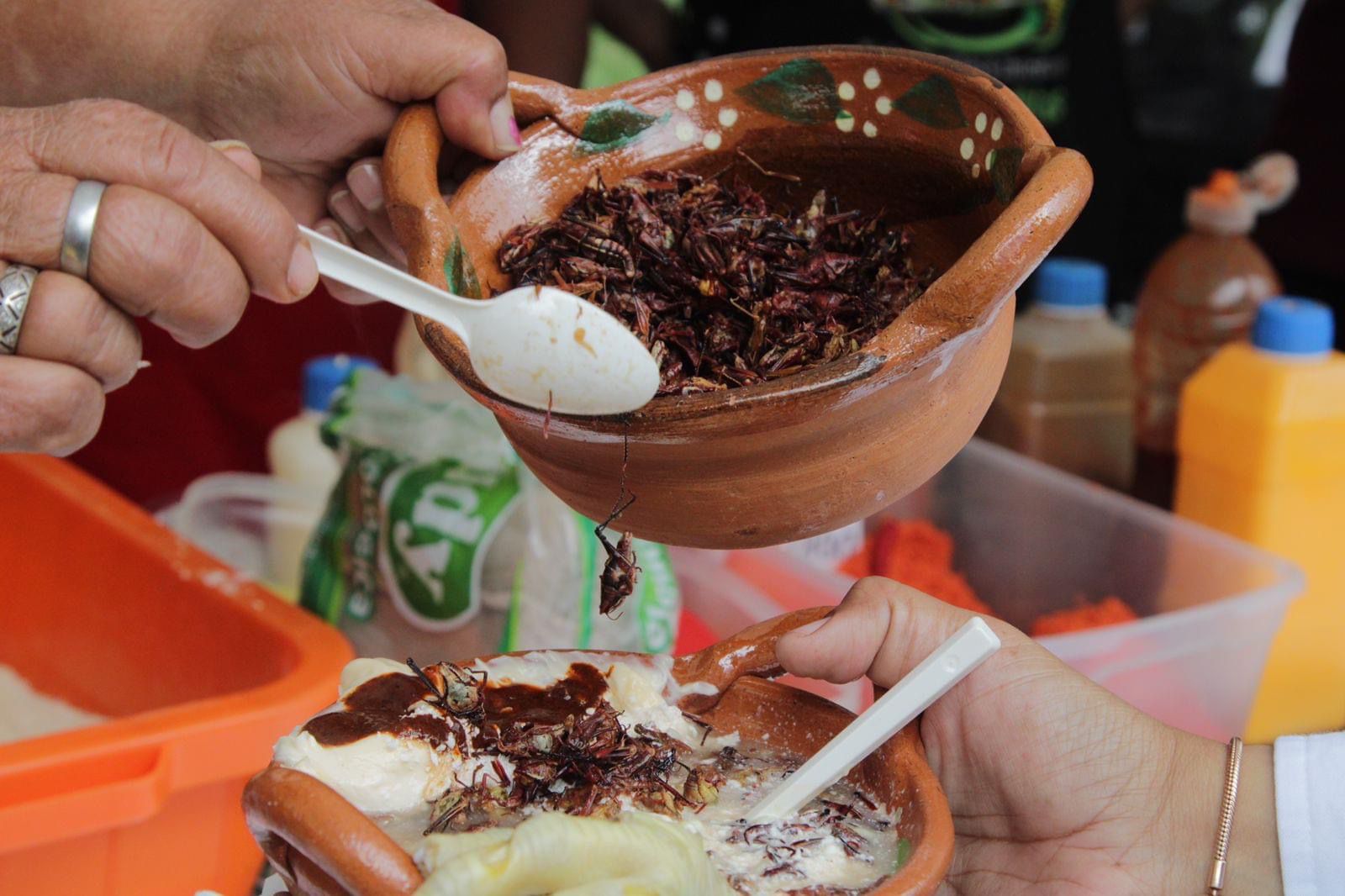 Por: Cortesía Atlixco anuncia su Feria del Elote; no te quedes con el antojo de probar todas las variedades con las que puedes degustar este grano
