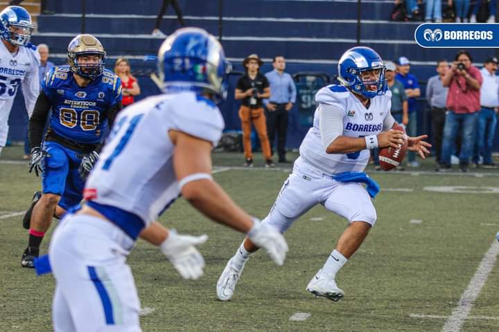 Por: Cortesía Borregos Puebla va por su pase a playoffs en la Onefa