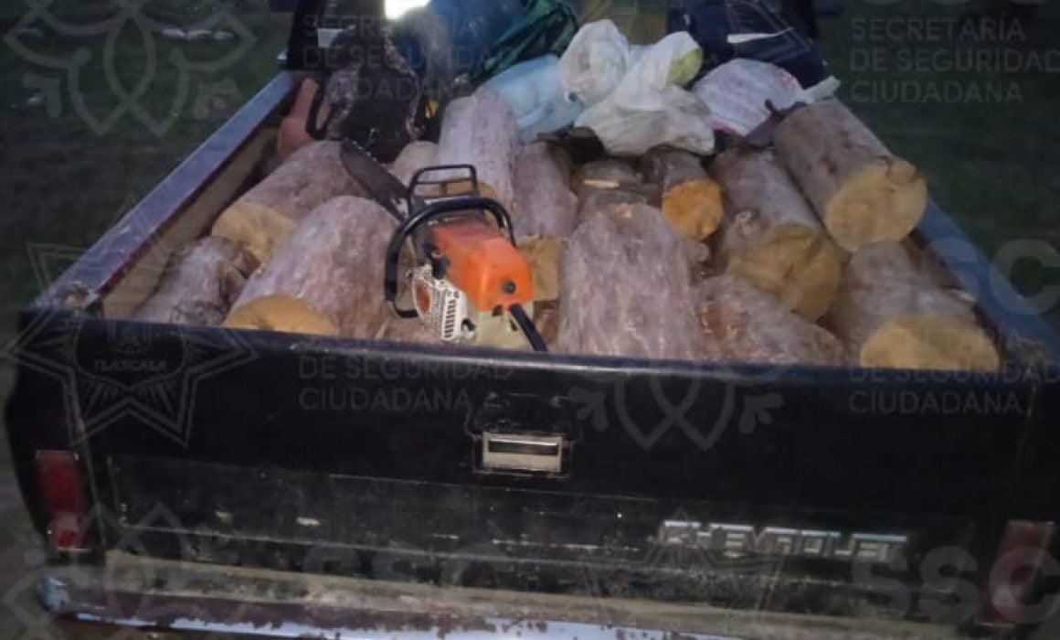 Asegura SSC camioneta con material forestal en San José Teacalco
