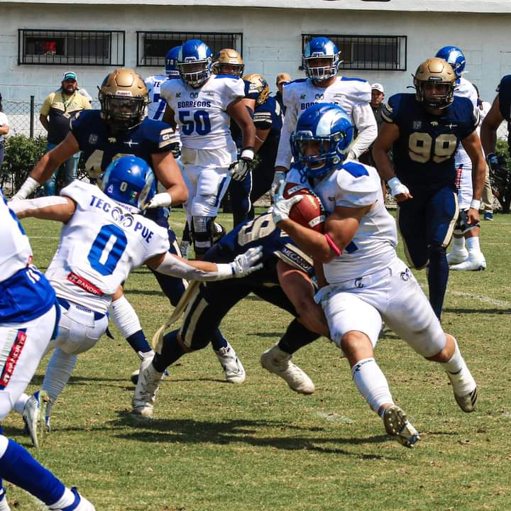 Por: Cortesía Borregos Puebla ganó su boleto a playoffs en la Liga Mayor de la Onefa .