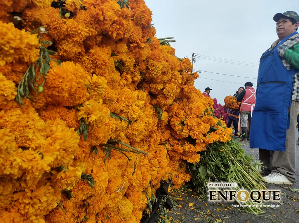 Por: Periódico Enfoque Inicia la venta de la flor del muerto en la región de Tepeaca
