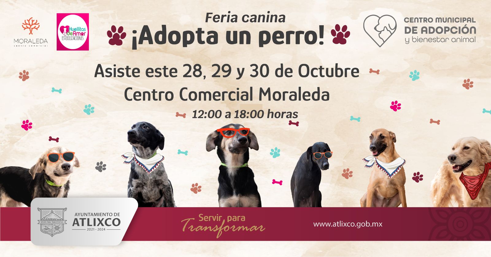 Por: Cortesía Primera edición de la mini feria de adopción canina se llevará a cabo en Atlixco