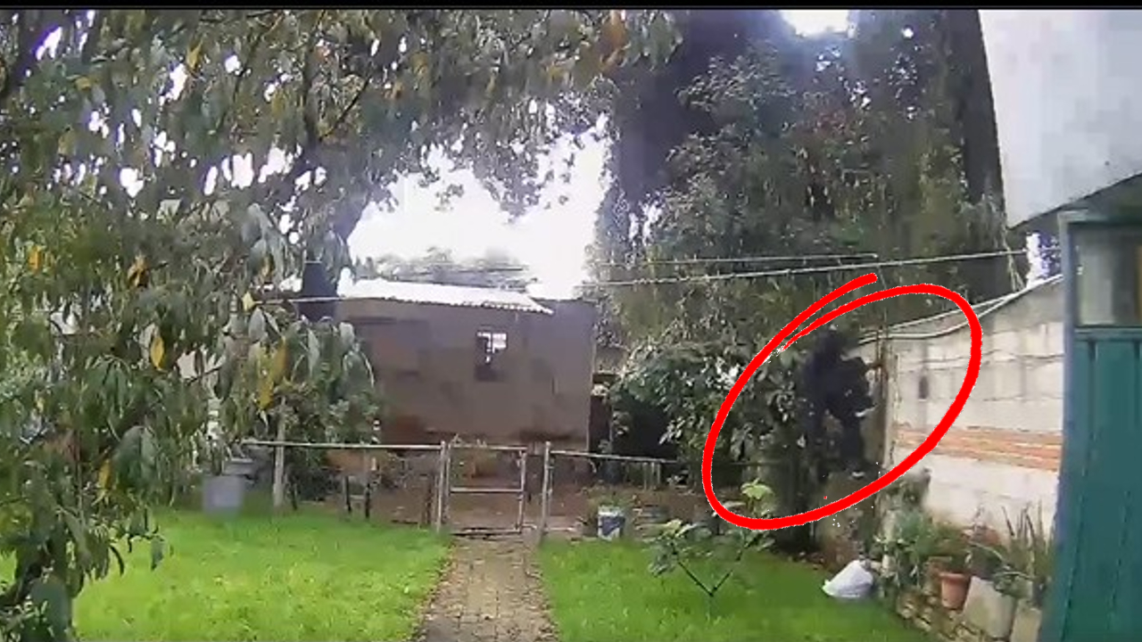 Por: Cortesía Cámara de Seguridad capta un posible robo en un domicilio de San Pedro Cholula