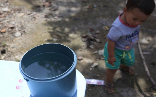 Por: Cortesía Afirman que los casos de dengue en el estado de Puebla se han ido reduciendo
