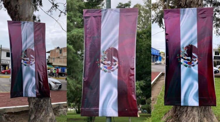 Por: Cortesía "Quería quedar bien": Despiden a funcionario que cambió los colores de la bandera por los de Morena