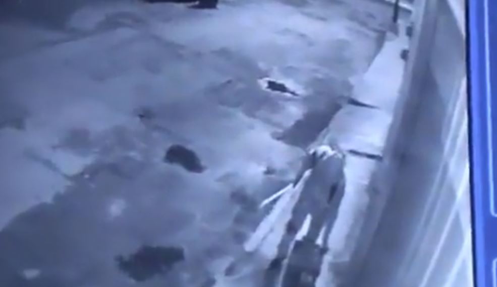 Presuntos delincuentes se hacen pasar por "pepenadores" para robar en San Bartolo (Vídeo)