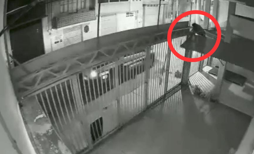 Burla ladrón a policía de Chiautempan