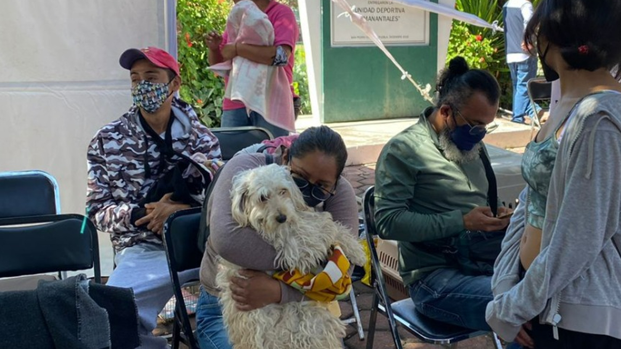 Por: Cortesía En San pedro Cholula; regresan las jornadas de esterilización gratuitas para mascotas