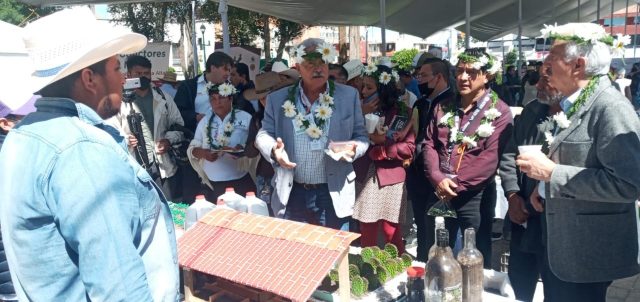 Por: Cortesía El nopal y la tuna son herencia cultural y oportunidad de negocio en Tlaxcala: SIA