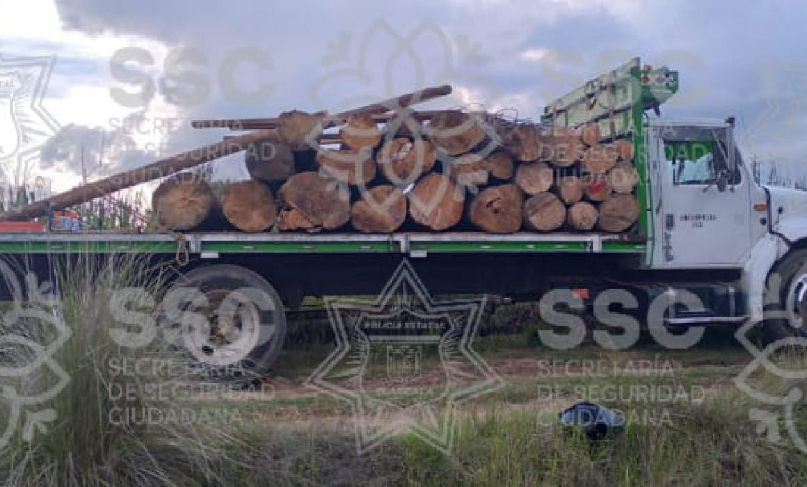Aseguró SSC tractocamión y rollos de madera en Tlalcuapan