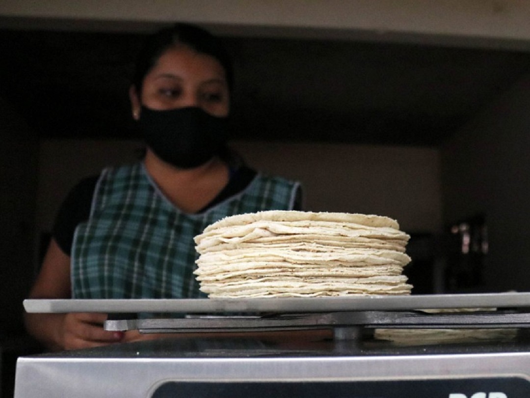 Por: Cortesía Precio de la tortilla presenta aumento en estos estados