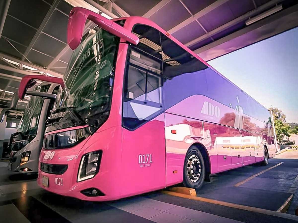 Por: Cortesía Compañera de Viaje: ADO se suma a la protección de la mujer con esta iniciativa ¿ya la conocías?