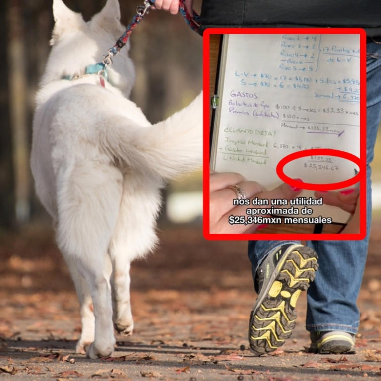 Por: Cortesía Joven muestra cómo ganar 25 mil pesos al mes por "pasear perros" (Vídeo)