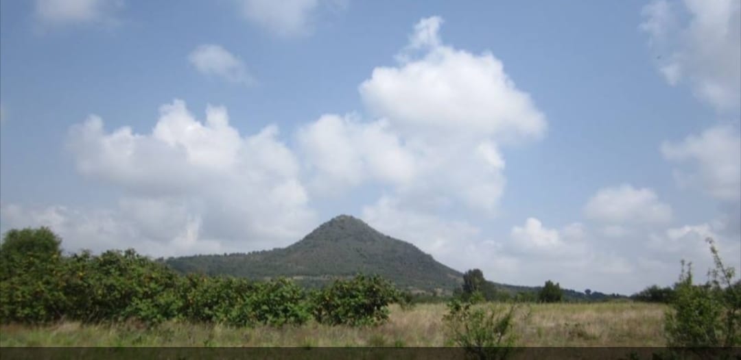 Por: Cortesía Lula Pineda Proponen ejidatarios de San Pedro Yancuitlalpan museo para más de 2 mil piezas prehispánicas