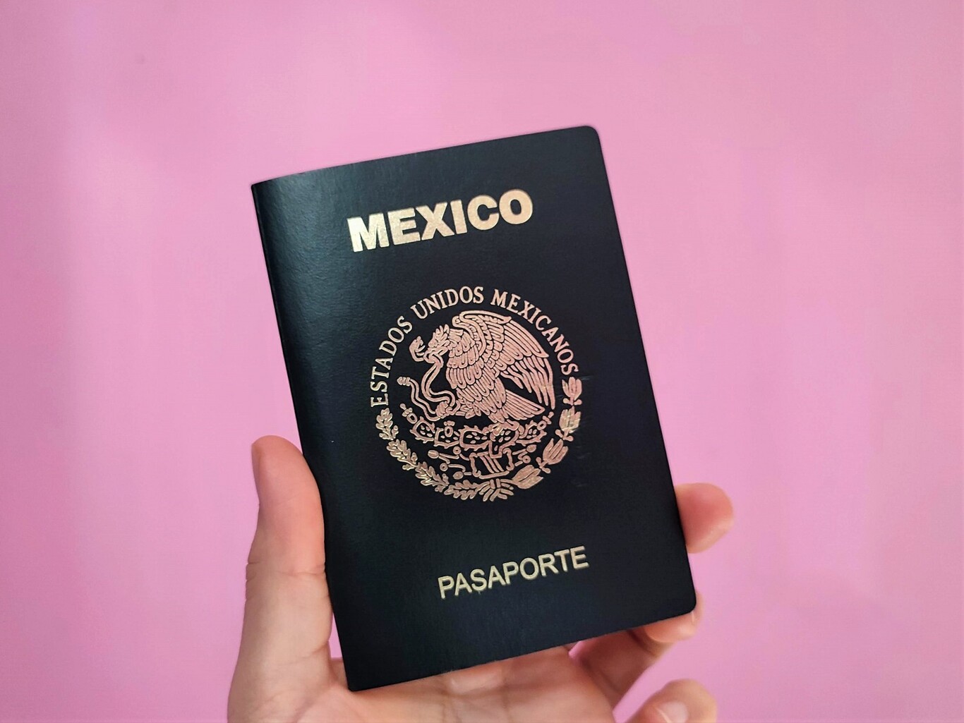 Por: Cortesía