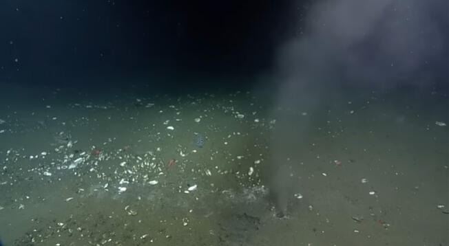 Por: Cortesía Fuga de líquido en el océano Pacífico relacionado con la falla de Cascadia: ¿Próximo terremoto de magnitud 9?