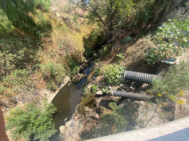 Por: Cortesía Activistas obtienen medida cautelar para que Agua de Puebla cumpla con saneamiento de ríos