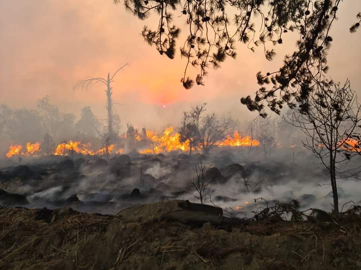 Por: Cortesía Ante inacción del estado, brigadistas se unen contra incendios en la Malinche