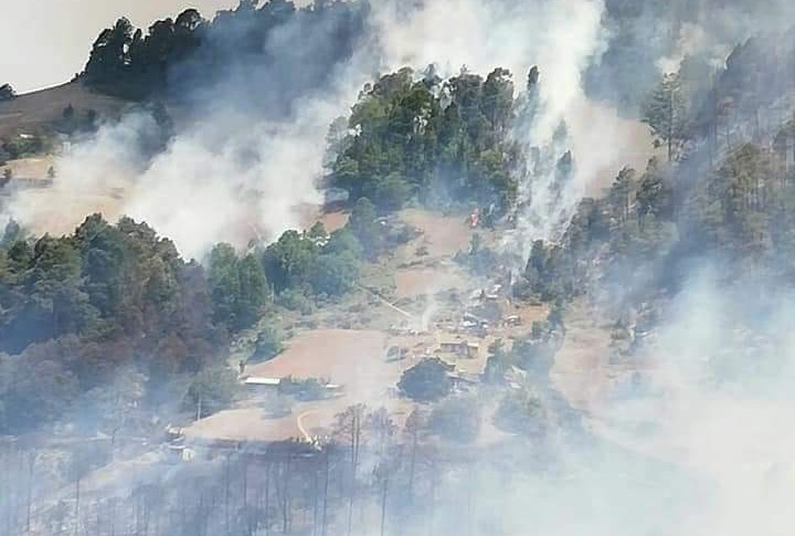 Por: Cortesía Puebla es el cuarto estado con más incendios forestales en lo que va del año
