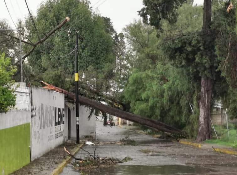 Inundaciones y caída de árboles, saldo de tromba en Tlaxcala