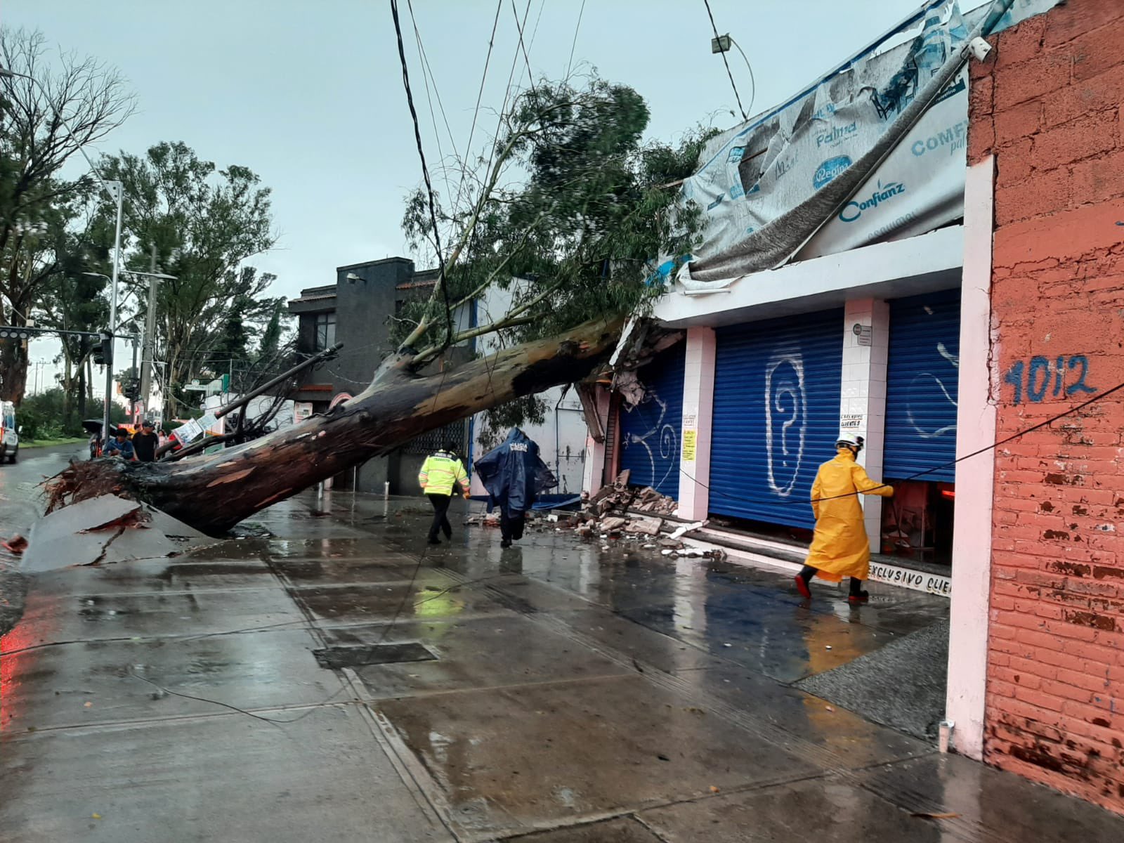  Intensas lluvias en Puebla genera caída de árboles y anegaciones en varios puntos de la ciudad