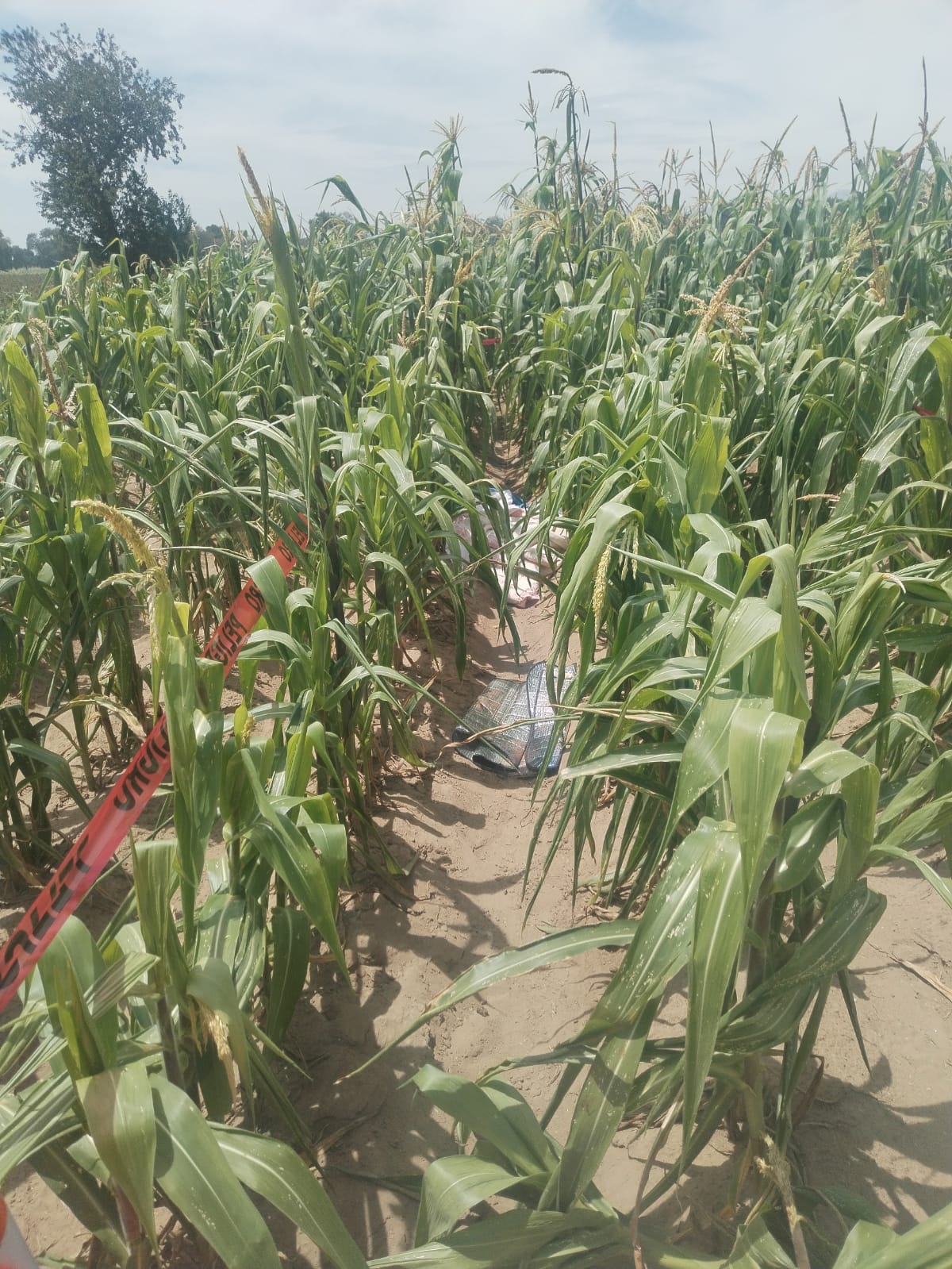 Hallan cadáver de una mujer envuelto en una colcha, en Cuapiaxtla