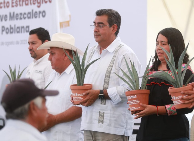 Por: Cortesía Gobierno invertirá más de 400 mdp para impulsar producción de mezcal en la Mixteca