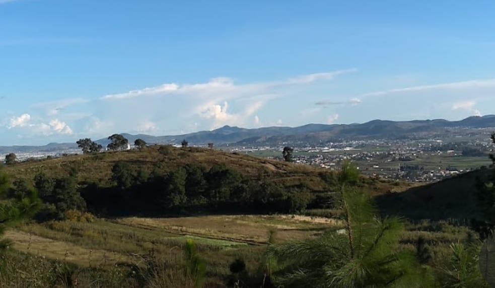 Invita Paola Angon a la primera jornada de reforestación del Zapotecas este 6 de agosto