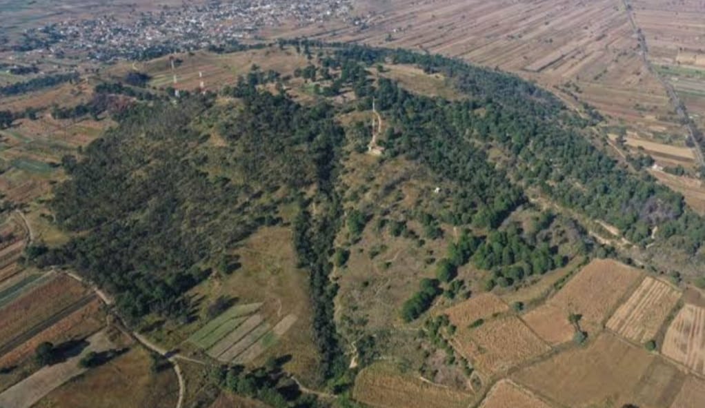 Administración actual no ha otorgado permiso alguno de construcción en cerro Zapotecas: Paola Angon