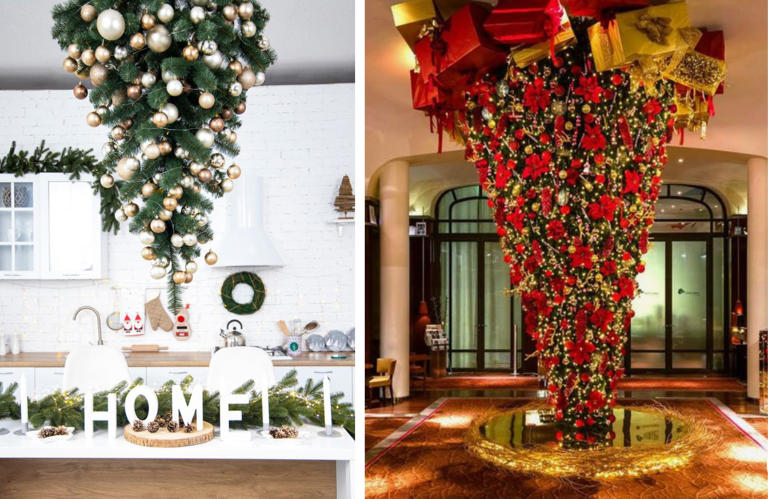 Por: Cortesía Árboles de Navidad al revés, ¿de dónde salió esta tendencia?