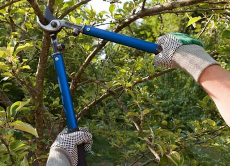 Por: Cortesía Lula Pineda Servicios Públicos en Cholula atiende de demandas ciudadanas