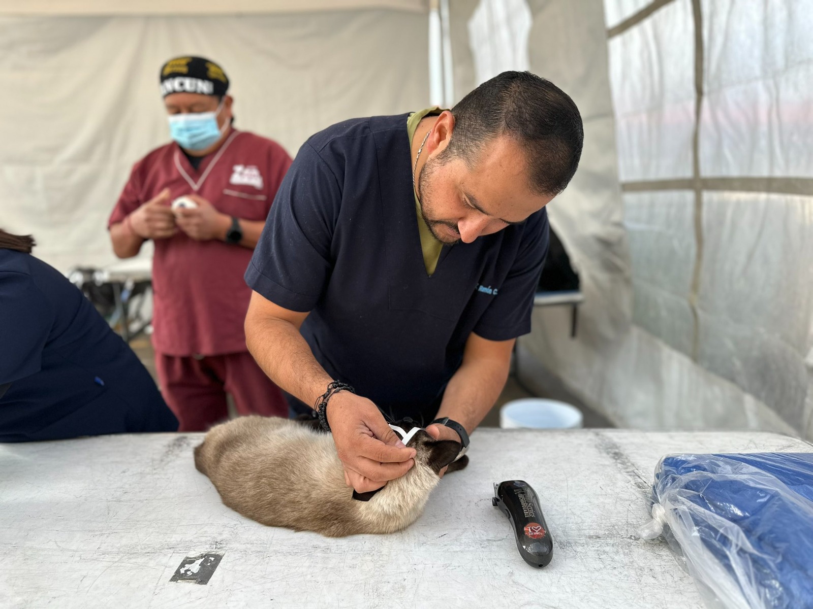 Por el bienestar de las familias, Paola Angon encabezó jornada de esterilización gratuita en Zerezotla