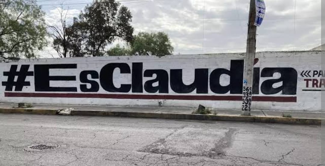 Hasta 1000 UMAS asciende sanción a quienes no retiren propaganda política del primer cuadro de SPCH: Paola Angon