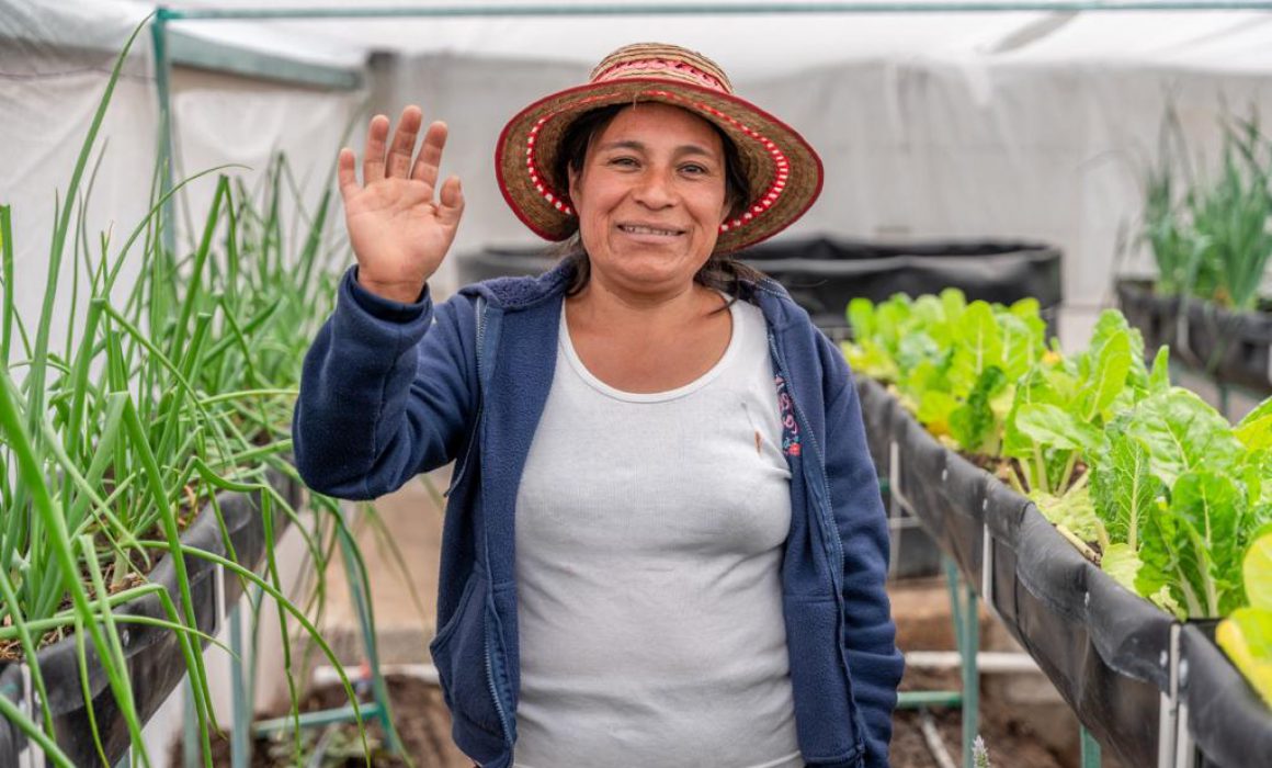 Programa autosuficiencia alimentaria garantiza seguridad