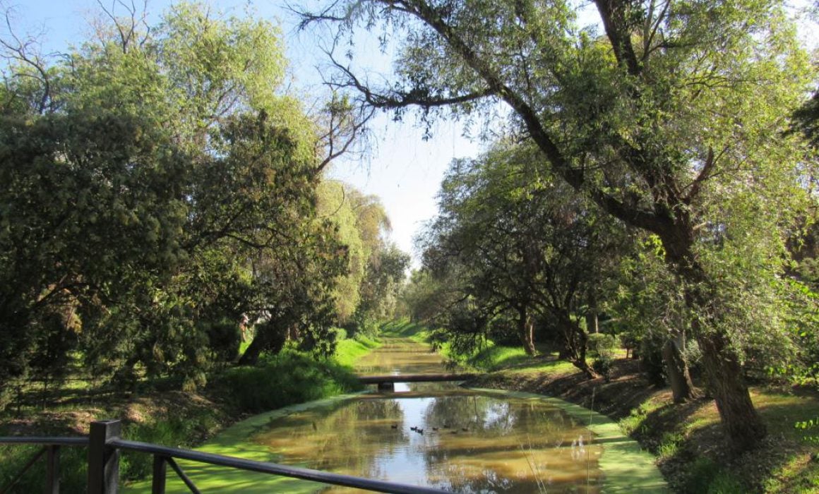 Fomenta Gobierno de Tlaxcala educación ambiental