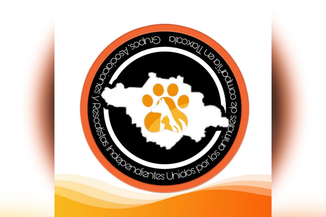Se deslinda Tlaxcala Pro Bienestar Animal de propagandas políticas