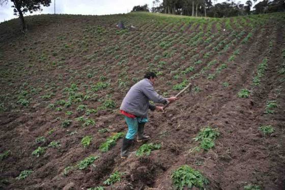Por: Cortesía En Tlaxcala, hubo una pérdida de 784 hectáreas de campos de cultivo