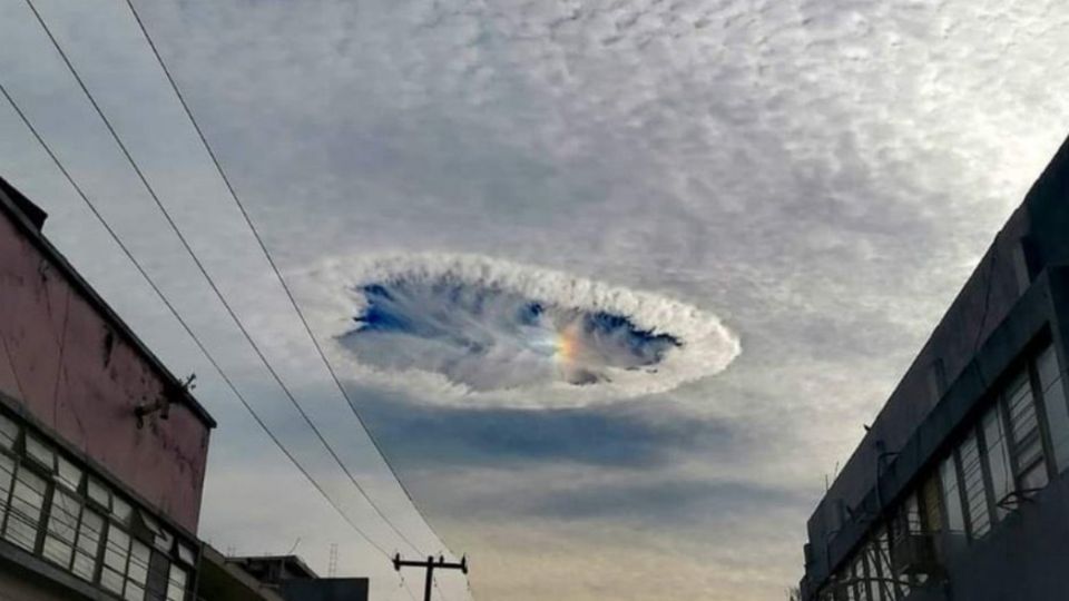 Por: Cortesía