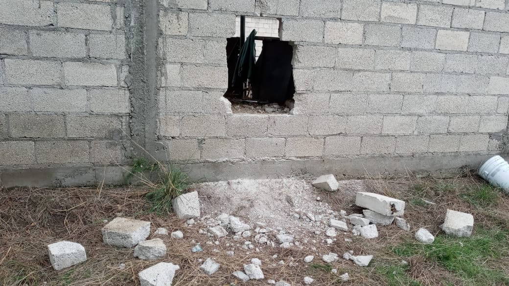 Sustraen 20 borregos de un terreno en Panotla, San Jorge Tezoquipan