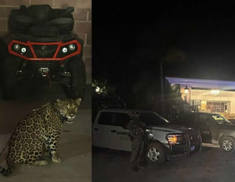 Por: Cortesía Cateo