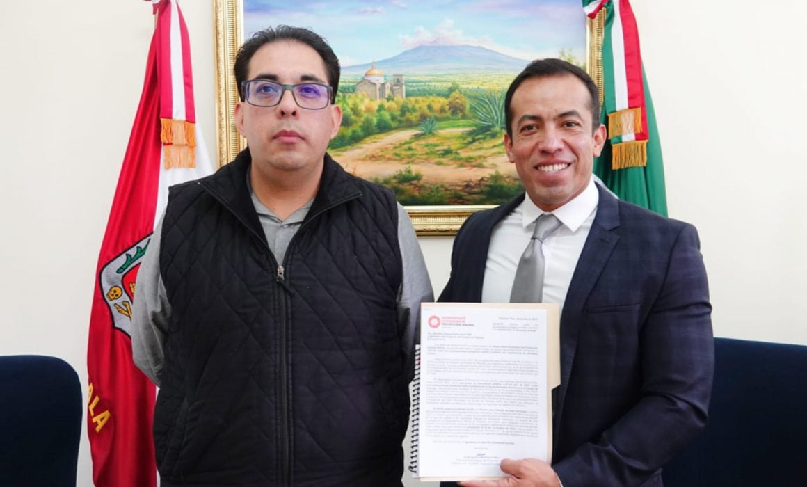 Exhibe OCPA a ayuntamientos sin reglamento de bienestar animal ante Congreso