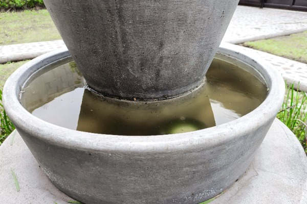 Reporta Secretaría de Salud 6 hospitalizados por dengue