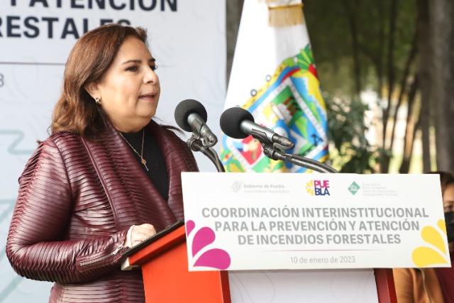 Por: Cortesía