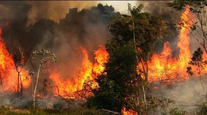 Por: Cortesía Tlaxcala reportó 126 incendios forestales durante el 2022: CONAFOR.